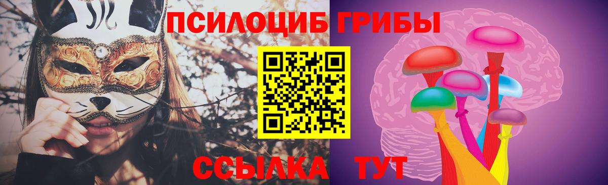 Семёнов  Галлюциногенные грибы прущие грибы  Вход с VPN 