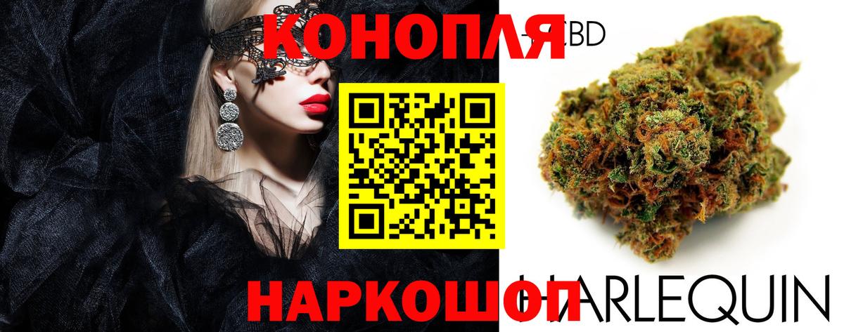 Бошки Шишки гибрид  Вход с VPN  Семёнов  Марихуана конопля 
